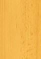 /album/folie/a24-buk-jpg/
